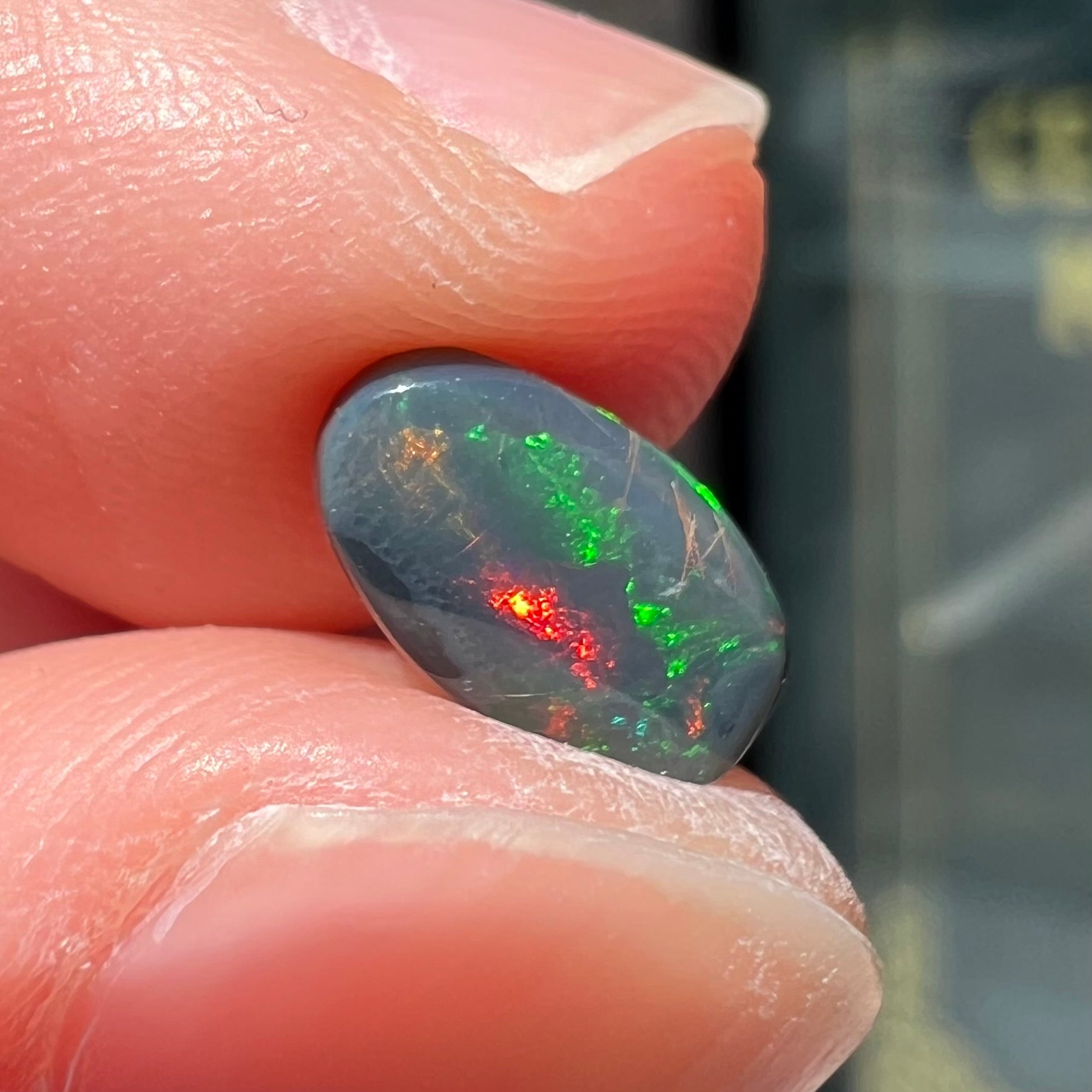 A natural, oval cut black opal stone that shows fire of red, green, and blue.