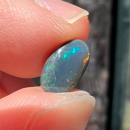 A natural, oval cut black opal stone that shows fire of red, green, and blue.