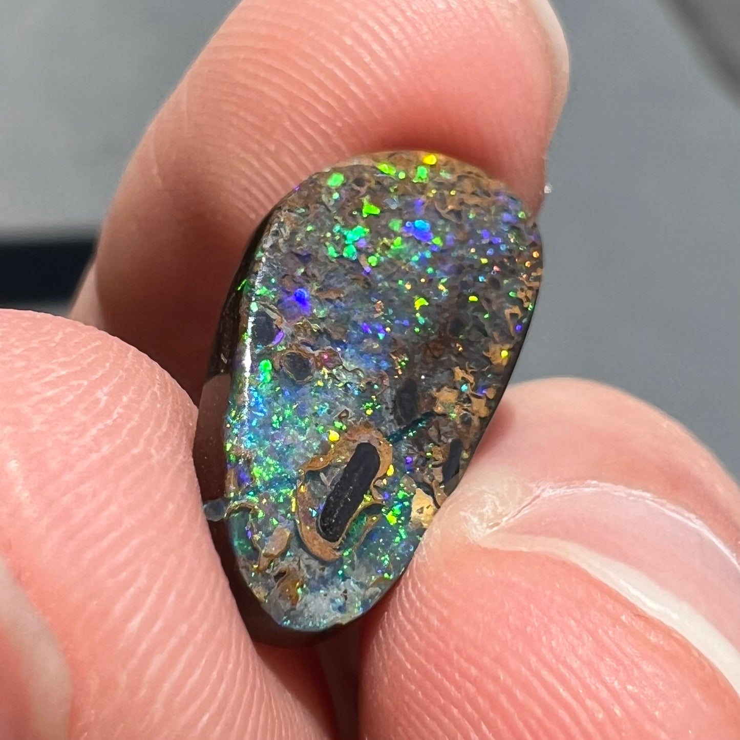 A loose boulder opal stone from Quilpie, Australia.  The opal shines colors of green and orange.