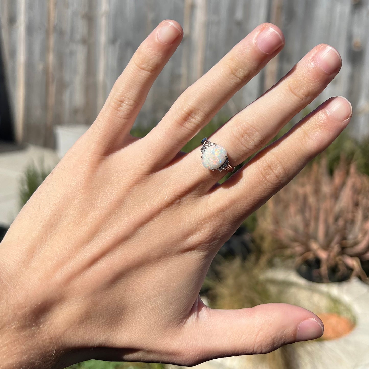 An Australian opal and diamond engagement ring in platinum.  The ring has filigree scrolling.