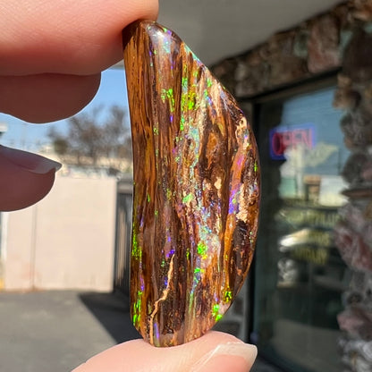 24.45ct Duck Creek Opalized Wood | #E206