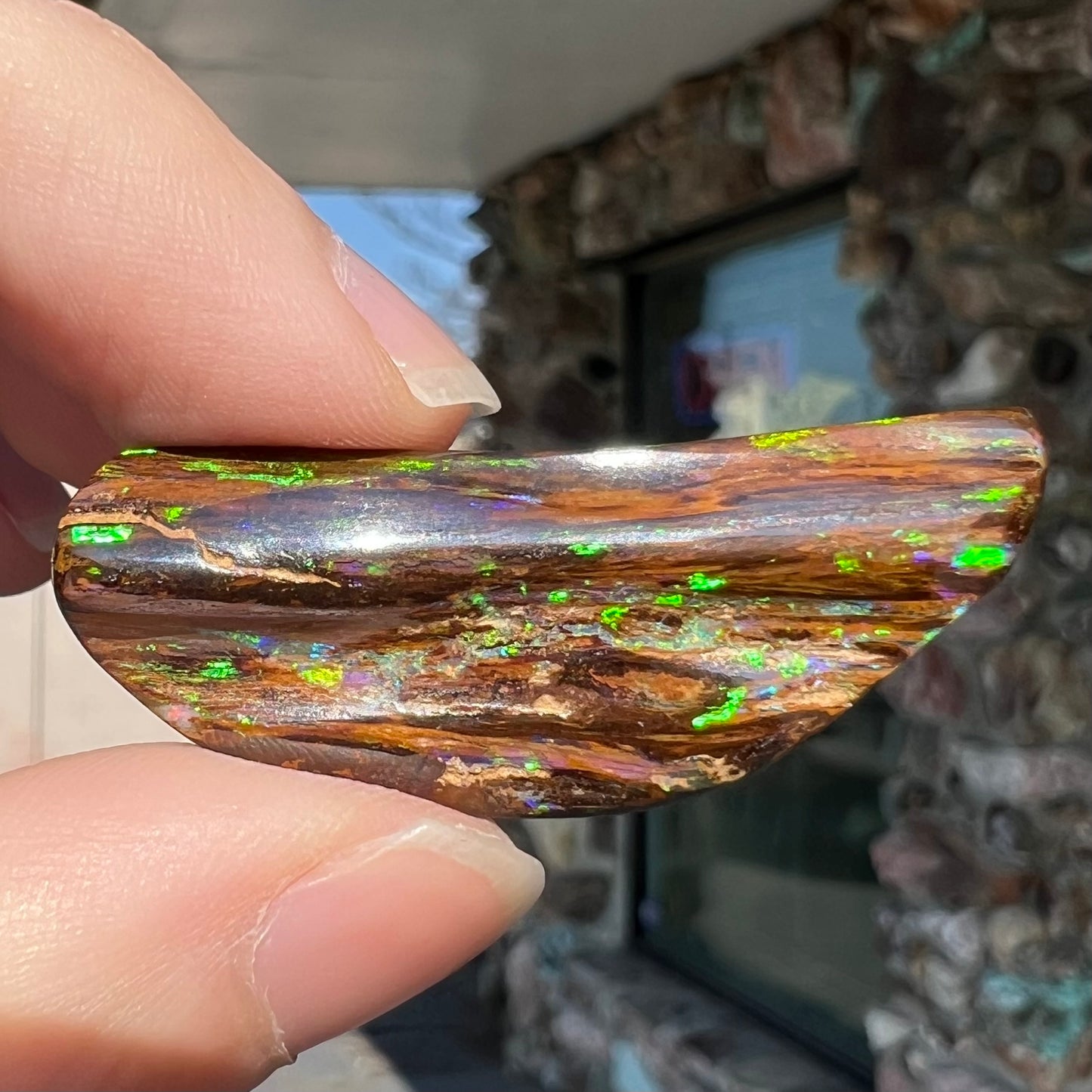 24.45ct Duck Creek Opalized Wood | #E206