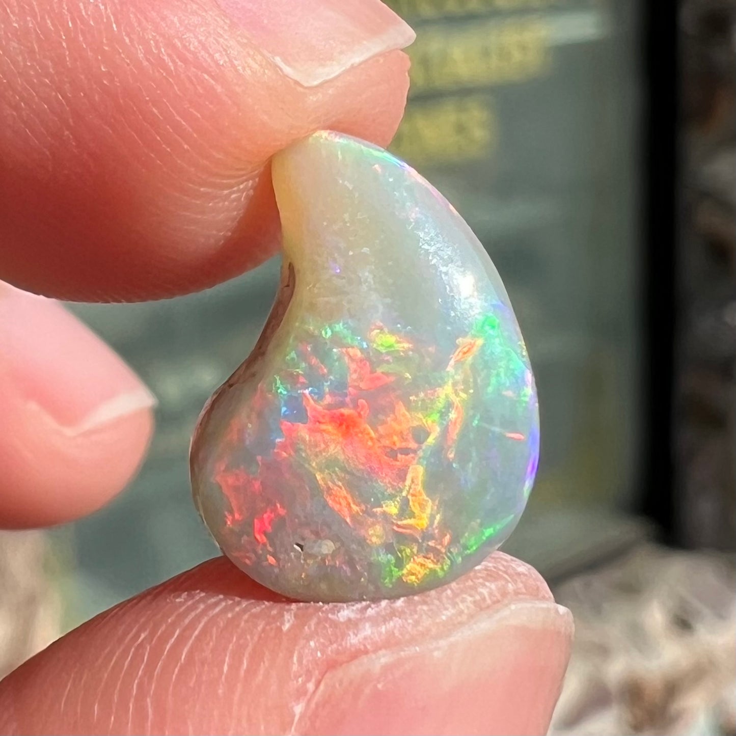 A loose, drop shaped opal stone from Lightning Ridge, Australia.  The stone has bright red fire.