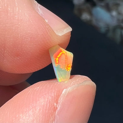 A loose, Australian fire opal chip.  The stone shines red, green, and yellow colors.