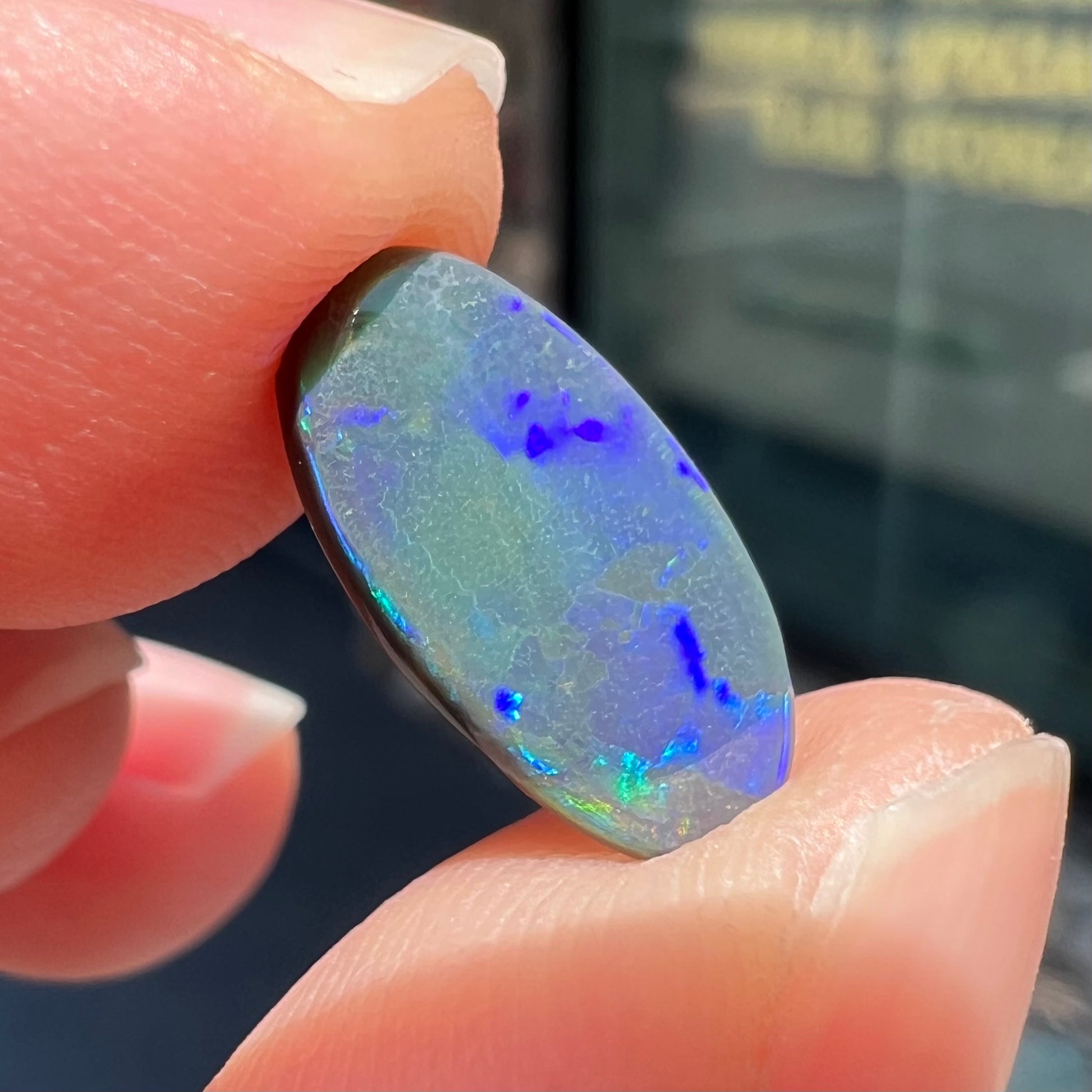 A loose, oval cut black opal stone from Lightning Ridge, Australia.  The opal plays with green and blue fire.