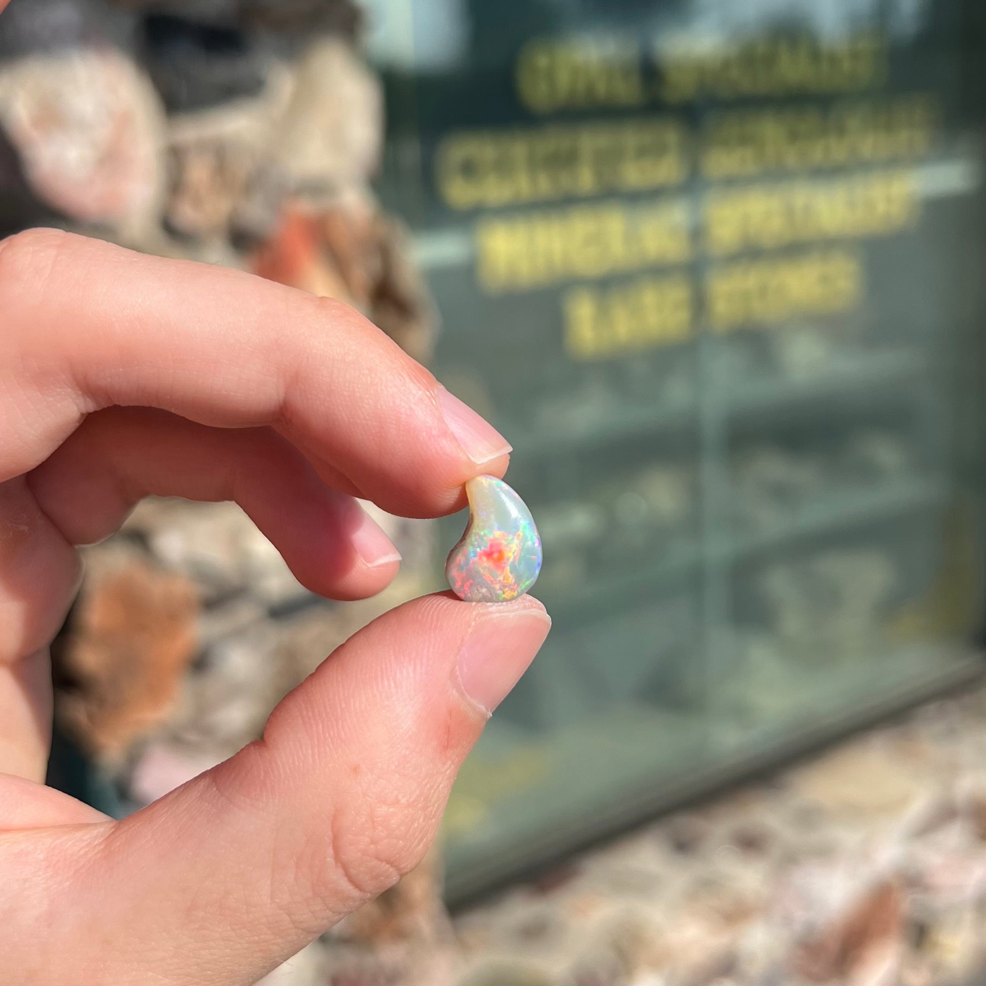 A loose, drop shaped opal stone from Lightning Ridge, Australia.  The stone has bright red fire.