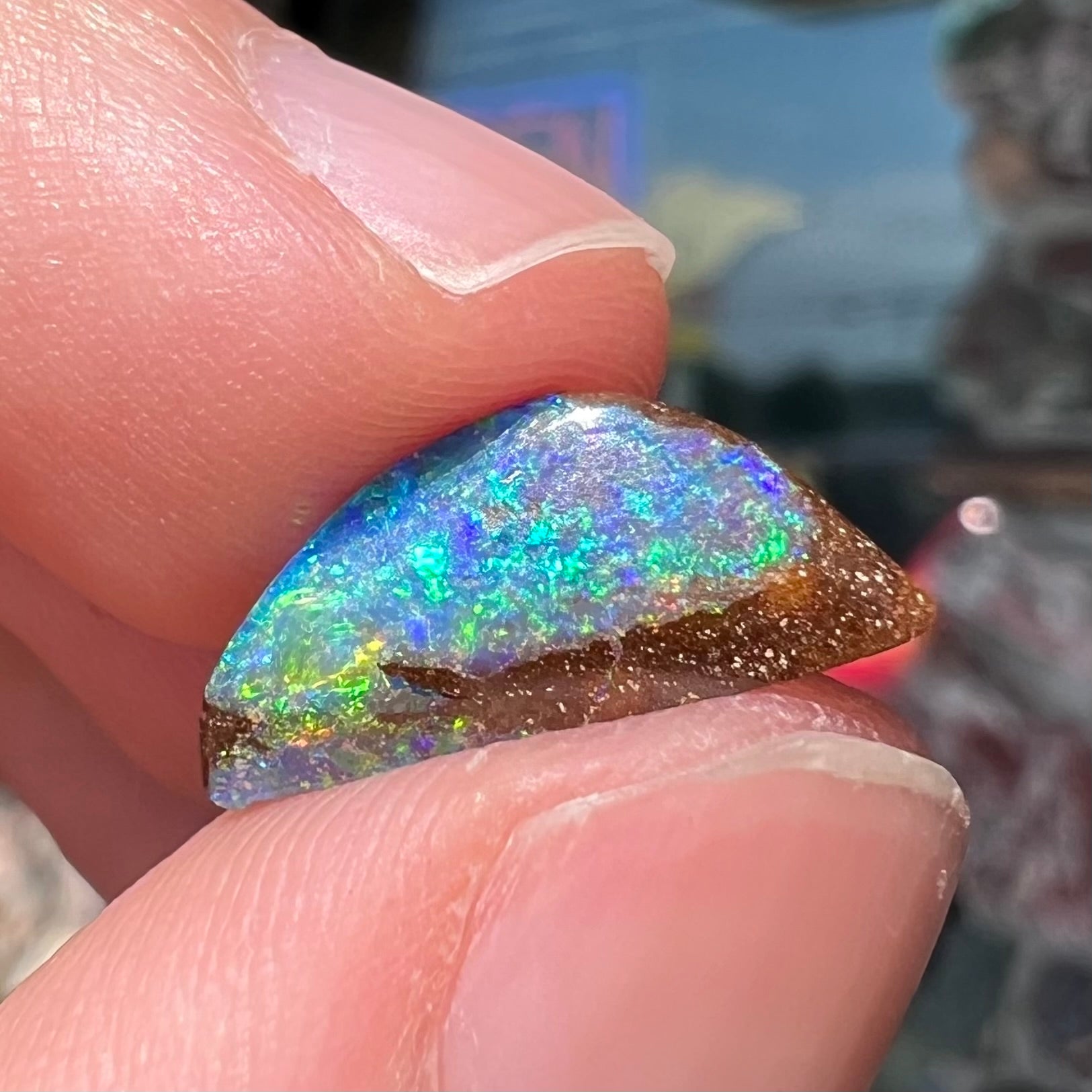 A freeform shaped boulder opal stone from Quilpie, Australia.  The opal has bright blue and green play of color.