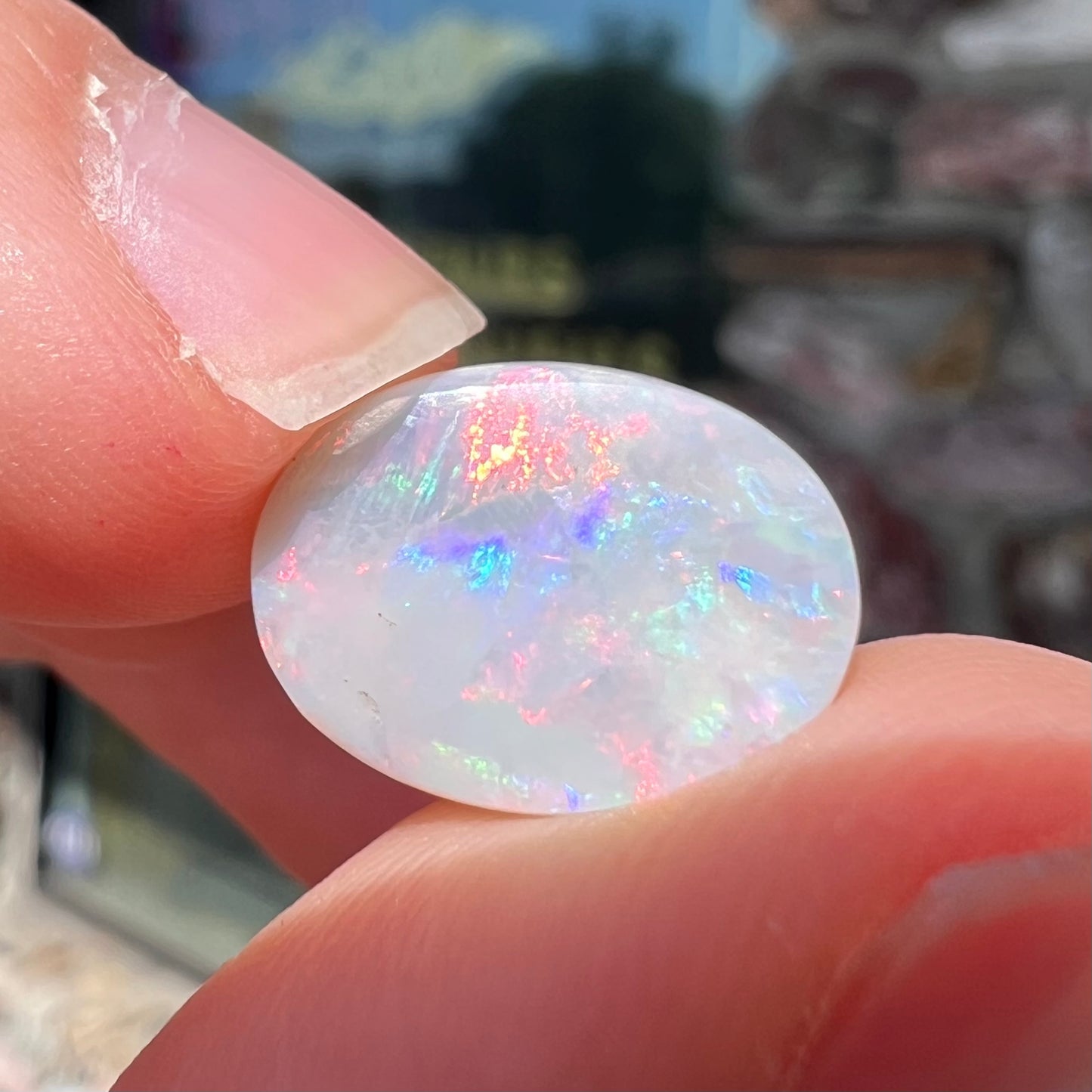 A loose oval cut opal stone from Lightning Ridge, Australia.  The opal shines pinkish red colors.