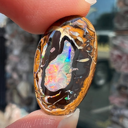 A polished Yowah nut boulder opal from Yowah, Australia.  The piece is ironstone with a center of precious opal.