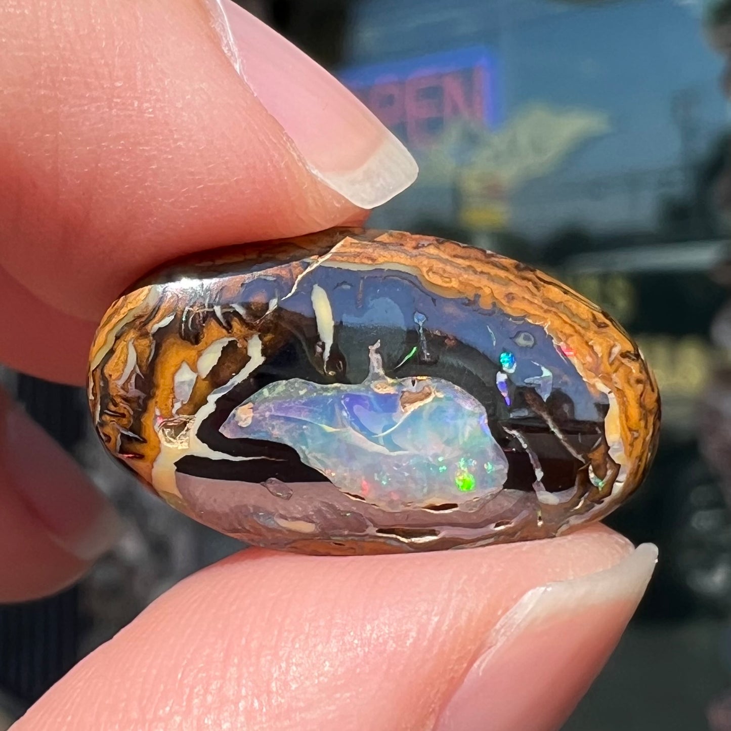 A polished Yowah nut boulder opal from Yowah, Australia.  The piece is ironstone with a center of precious opal.