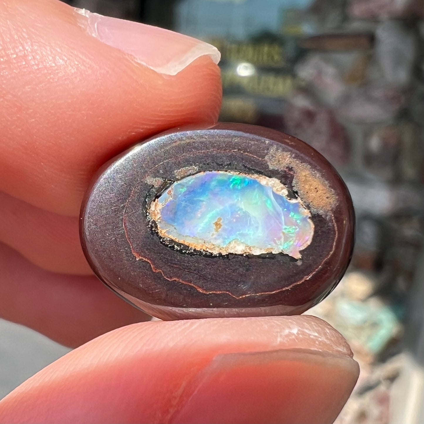 A polished Yowah nut opal stone.  The opal shines blue and green colors.