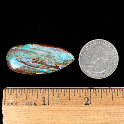 26.14ct Duck Creek Opalized Wood | #E189