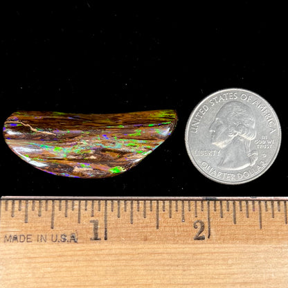 24.45ct Duck Creek Opalized Wood | #E206