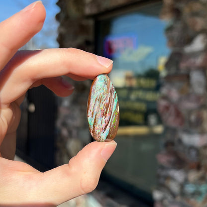 26.14ct Duck Creek Opalized Wood | #E189