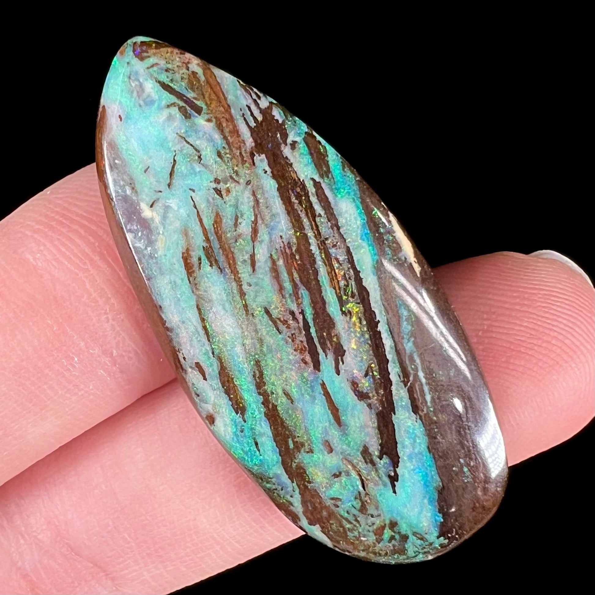 Pear shaped opalized wood stone from Duck Creek, Australia.  The opal is predominantly blue.