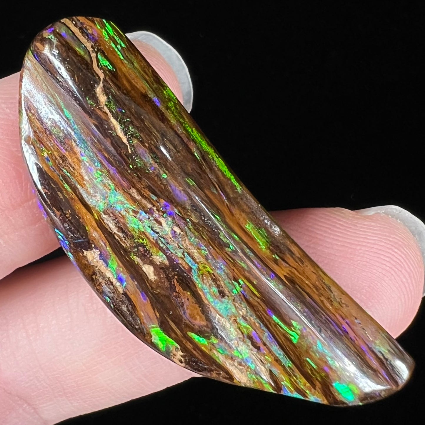 A polished piece of opalized wood from Duck Creek, Australia.  The opal has green colors.