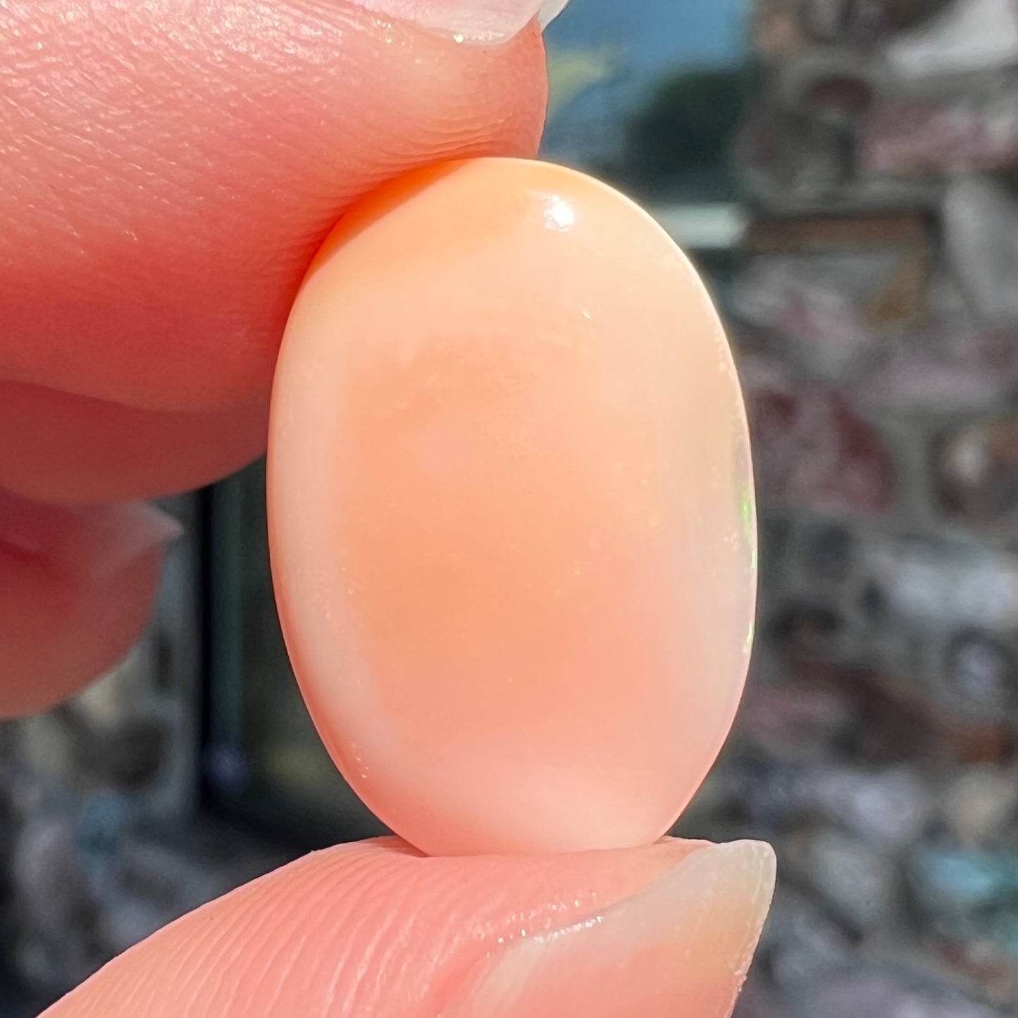 A loose, oval cabochon cut Peruvian opal stone.  The opal is a coral pink color.