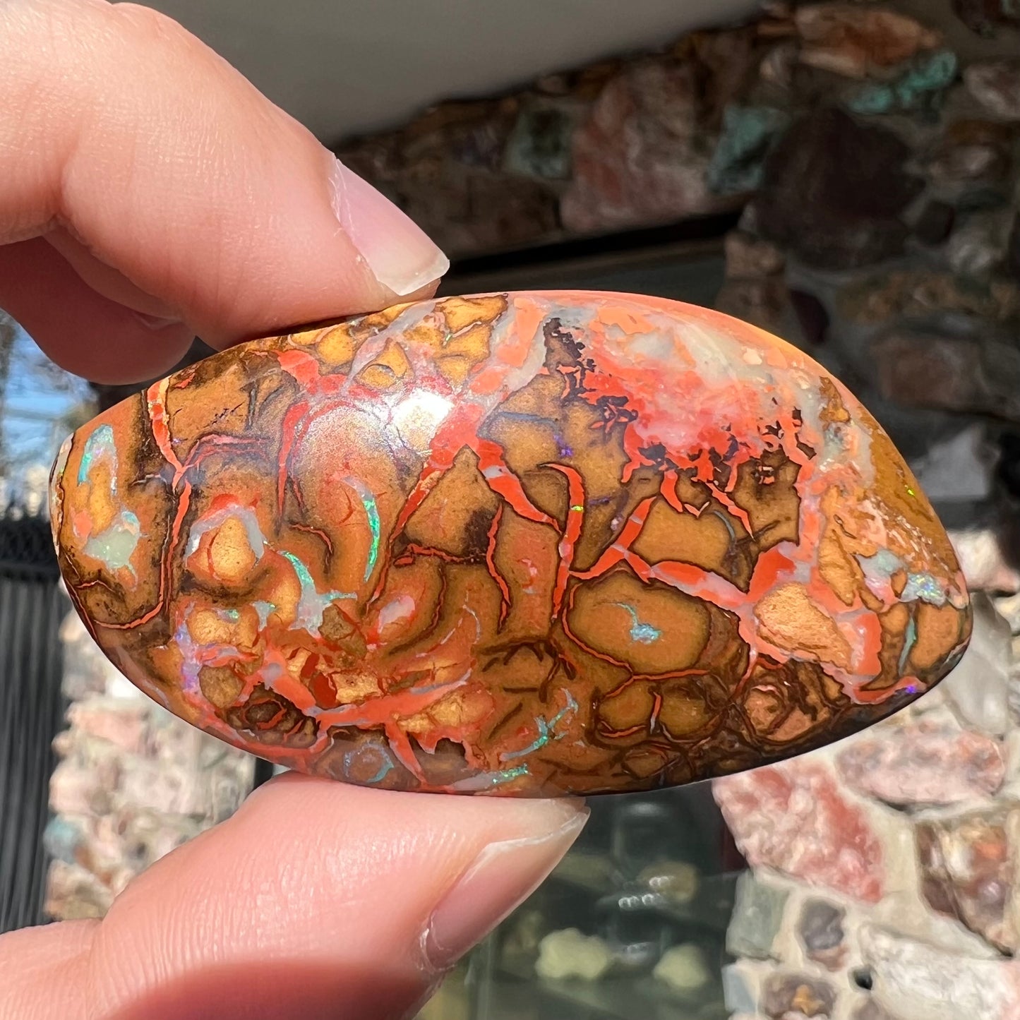 A polished boulder opal stone from Koroit, Australia.  The stone has been drilled with a bead hole.