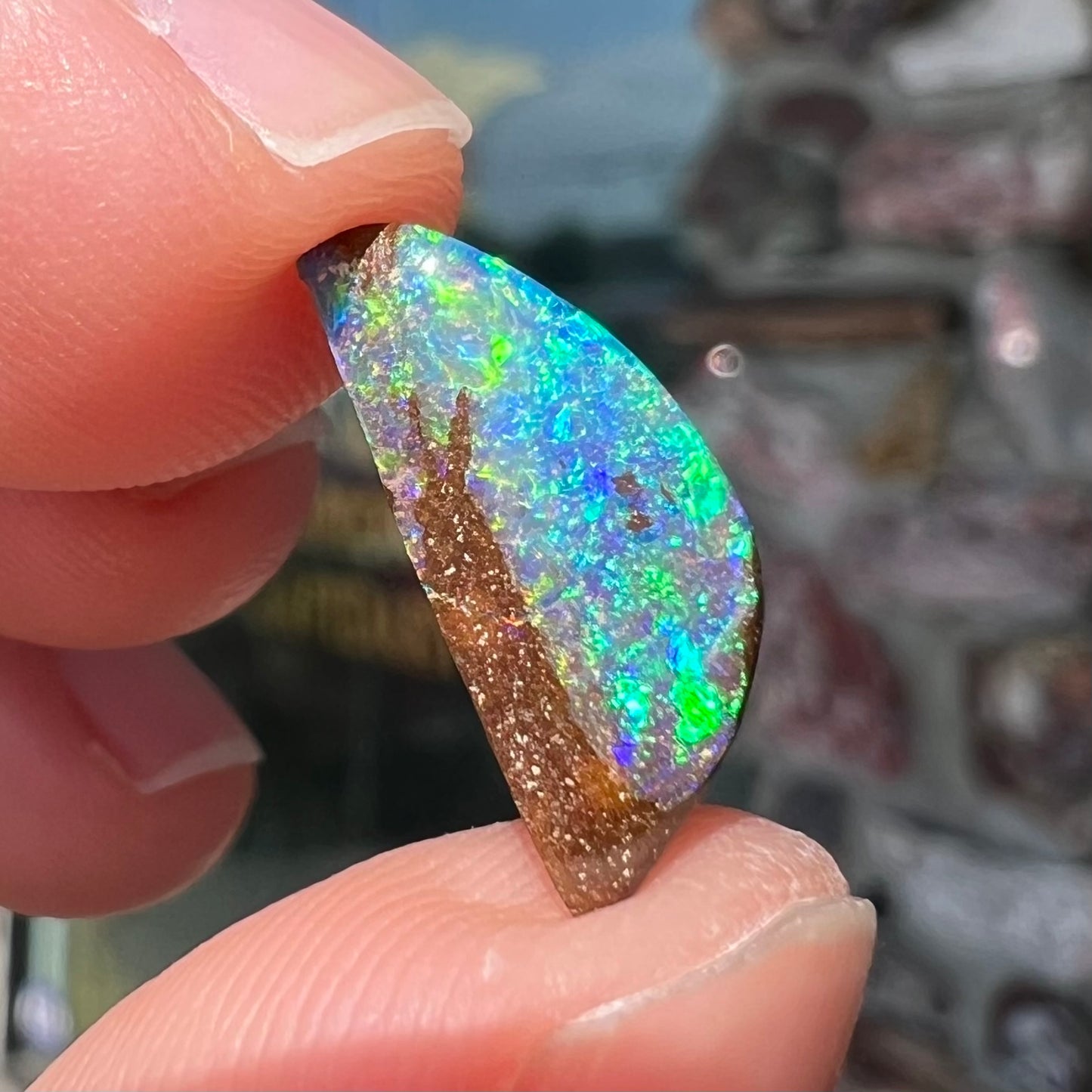 A freeform shaped boulder opal stone from Quilpie, Australia.  The opal has bright blue and green play of color.