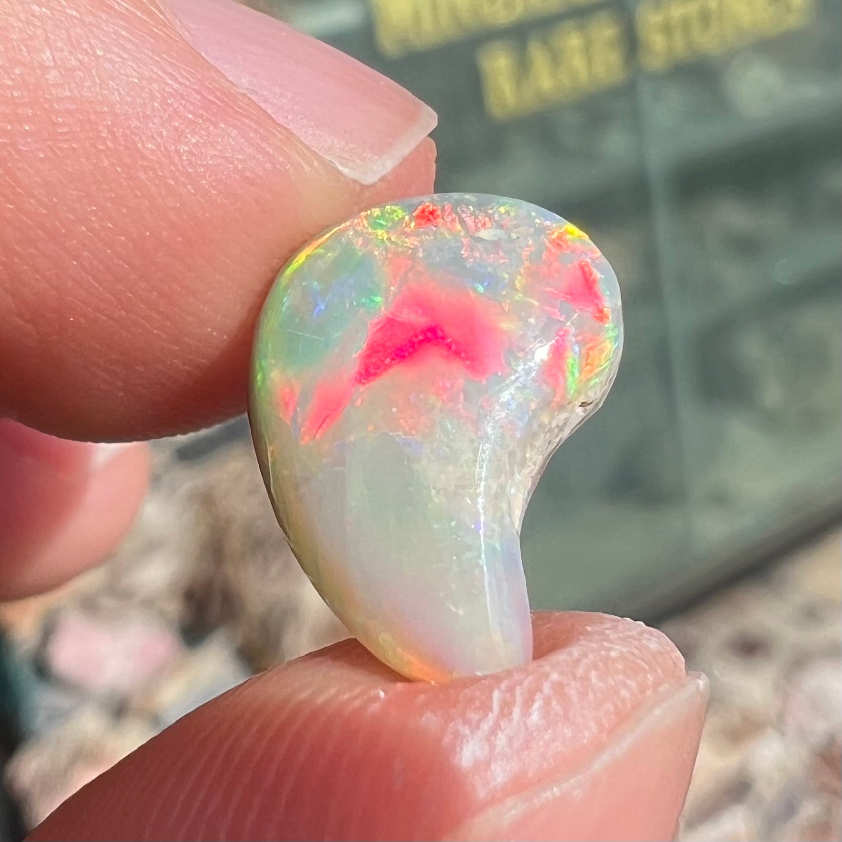 A loose, drop shaped opal stone from Lightning Ridge, Australia.  The stone has bright red fire.