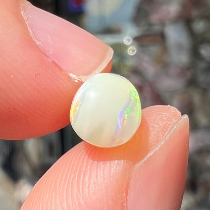 An opalized belemnite fossil from Coober Pedy, Australia.  The specimen has red, yellow, and green play of color.