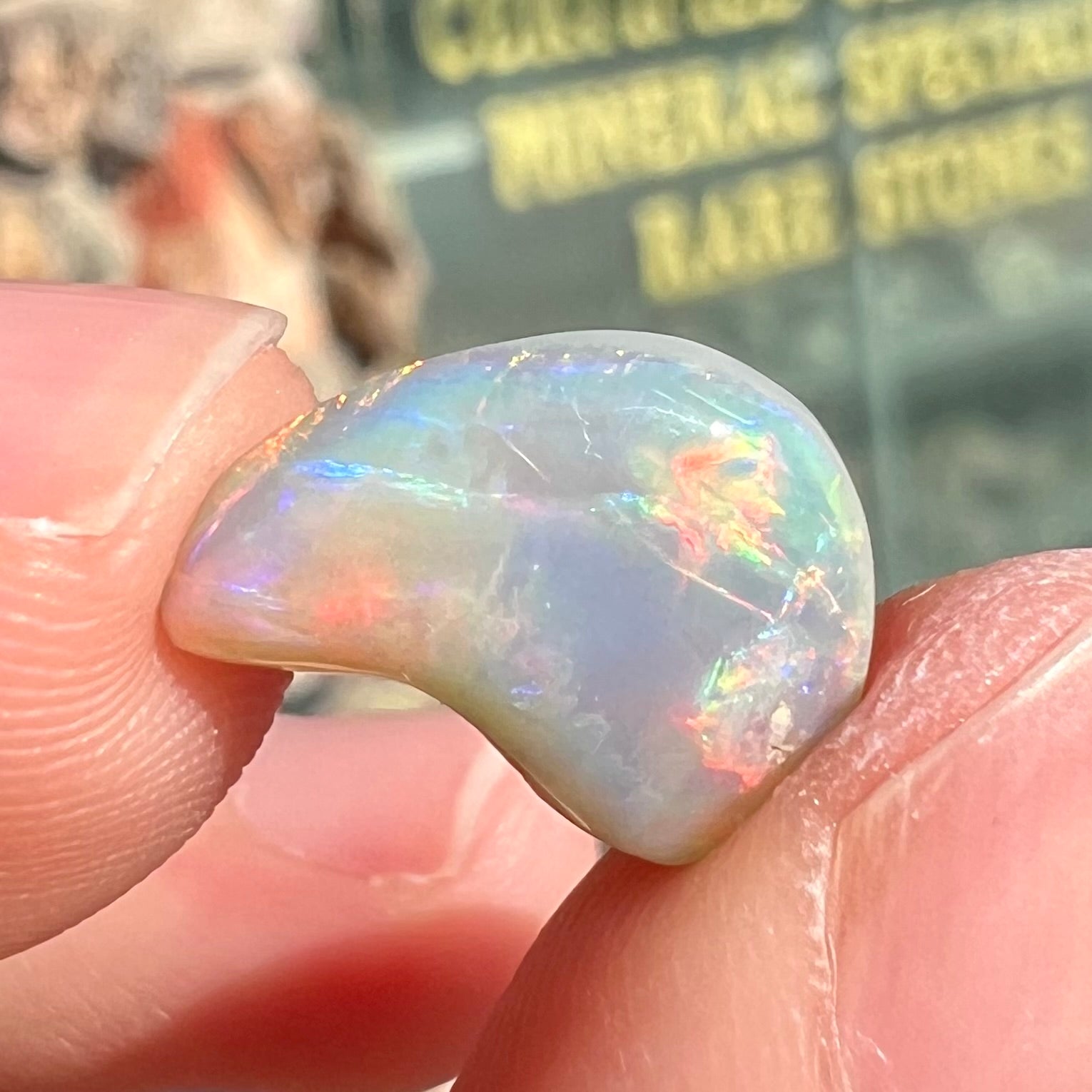 A loose, drop shaped opal stone from Lightning Ridge, Australia.  The stone has bright red fire.