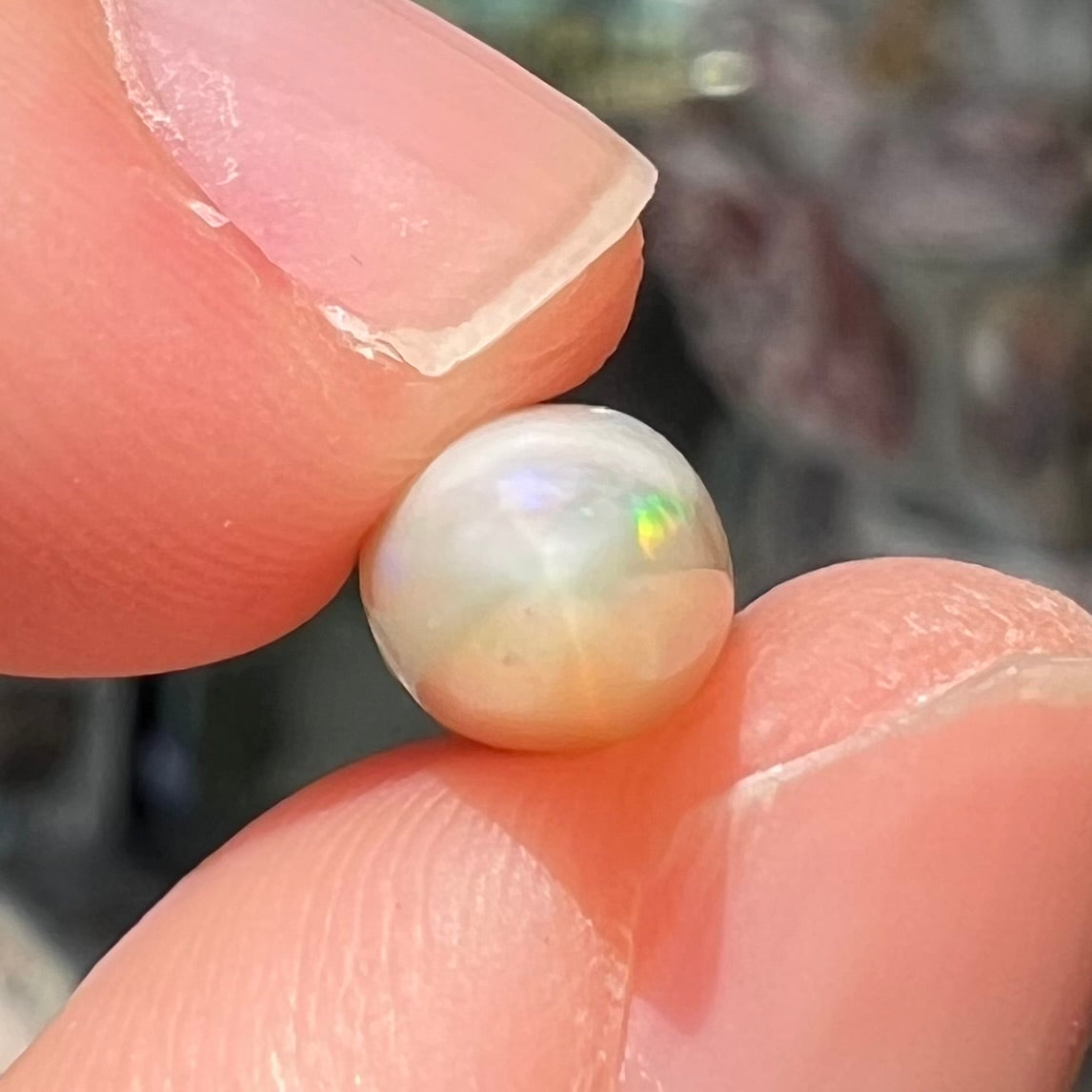 An opalized belemnite fossil from Coober Pedy, Australia.  The specimen has red, yellow, and green play of color.