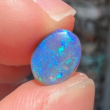 1.41ct Lightning Ridge Black Crystal Opal | #E65