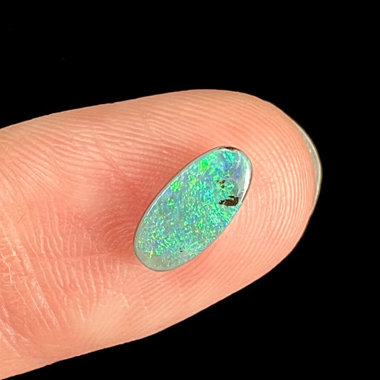 A loose, oval cut boulder opal stone from Quilpie, Australia.  The opal has blue and green colors.