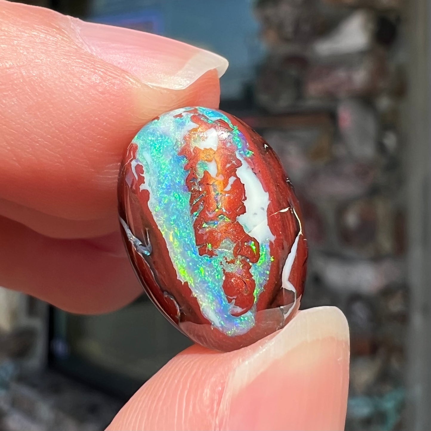 A loose, oval cabochon cut boulder opal stone from Australia.  The opal has blue and green veins in an ironstone matrix.