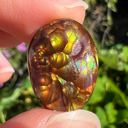 An oval cabochon cut Mexican fire agate stone.  The stone's predominant colors are green, yellow, orange, and blue.