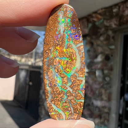 11.30ct Koroit Boulder Matrix Opal | #E205