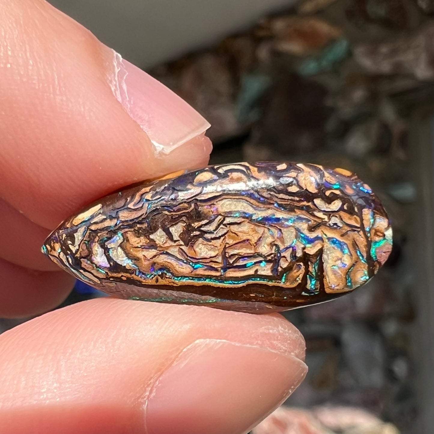 A pear shaped Koroit boulder matrix opal with blue and purple colors in veins.