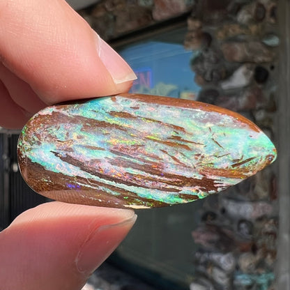 26.14ct Duck Creek Opalized Wood | #E189