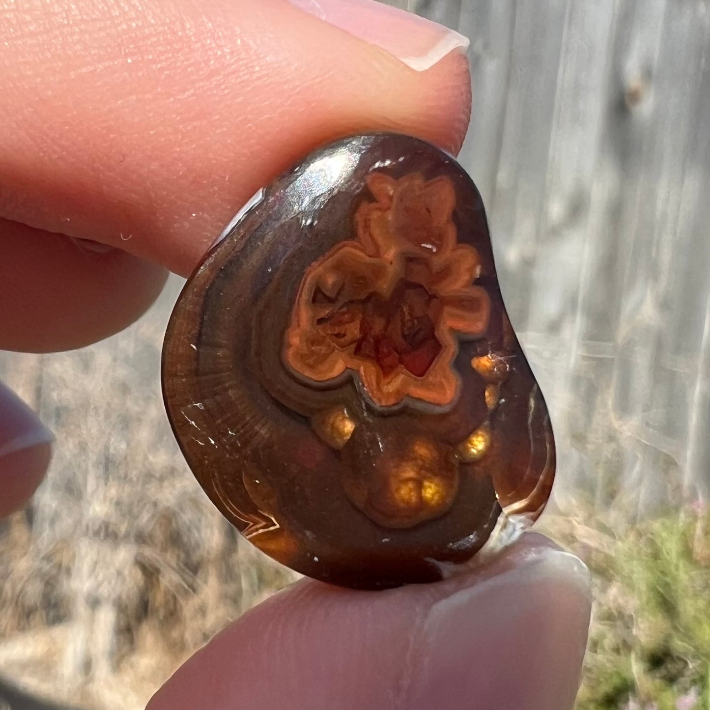 Brown sagenite fire agate with the picture of a happy barnyard pig.