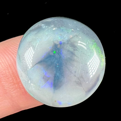 A round cabochon cut Lightning Ridge opal stone that has a picture of a bird of paradise.