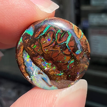 8.95ct Koroit Boulder Matrix Opal | #E127