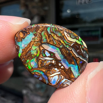 A loose, pear shaped boulder opal stone from Koroit, Australia that has vivd green and blue veins of color.