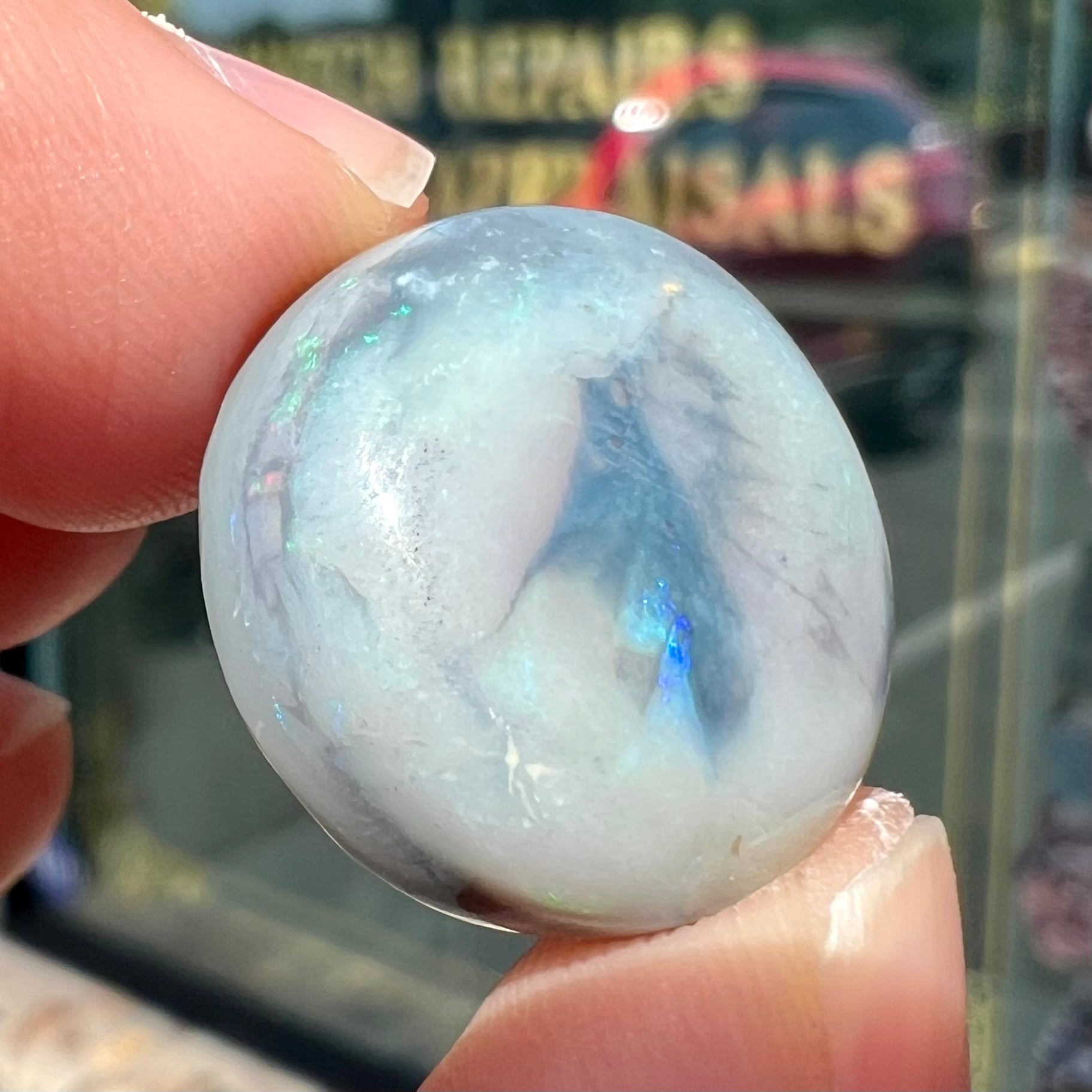 A round cabochon cut Lightning Ridge opal stone that has a picture of a bird of paradise.