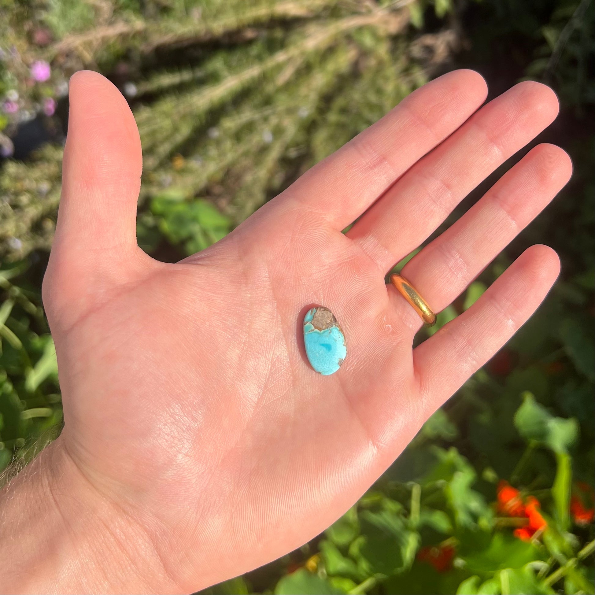 A loose pilot mountain turquoise cabochon.  The stone is blue with brown matrix.