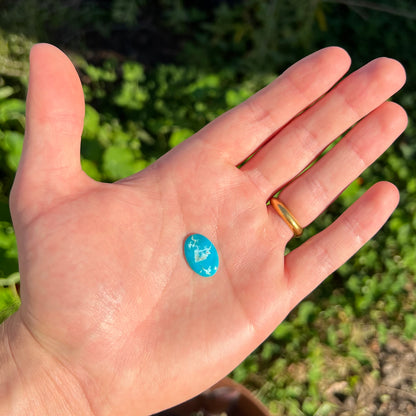 An electric blue Pilot Mountain turquosie stone from Nevada.  The turquoise is cut into an oval shaped cabochon.