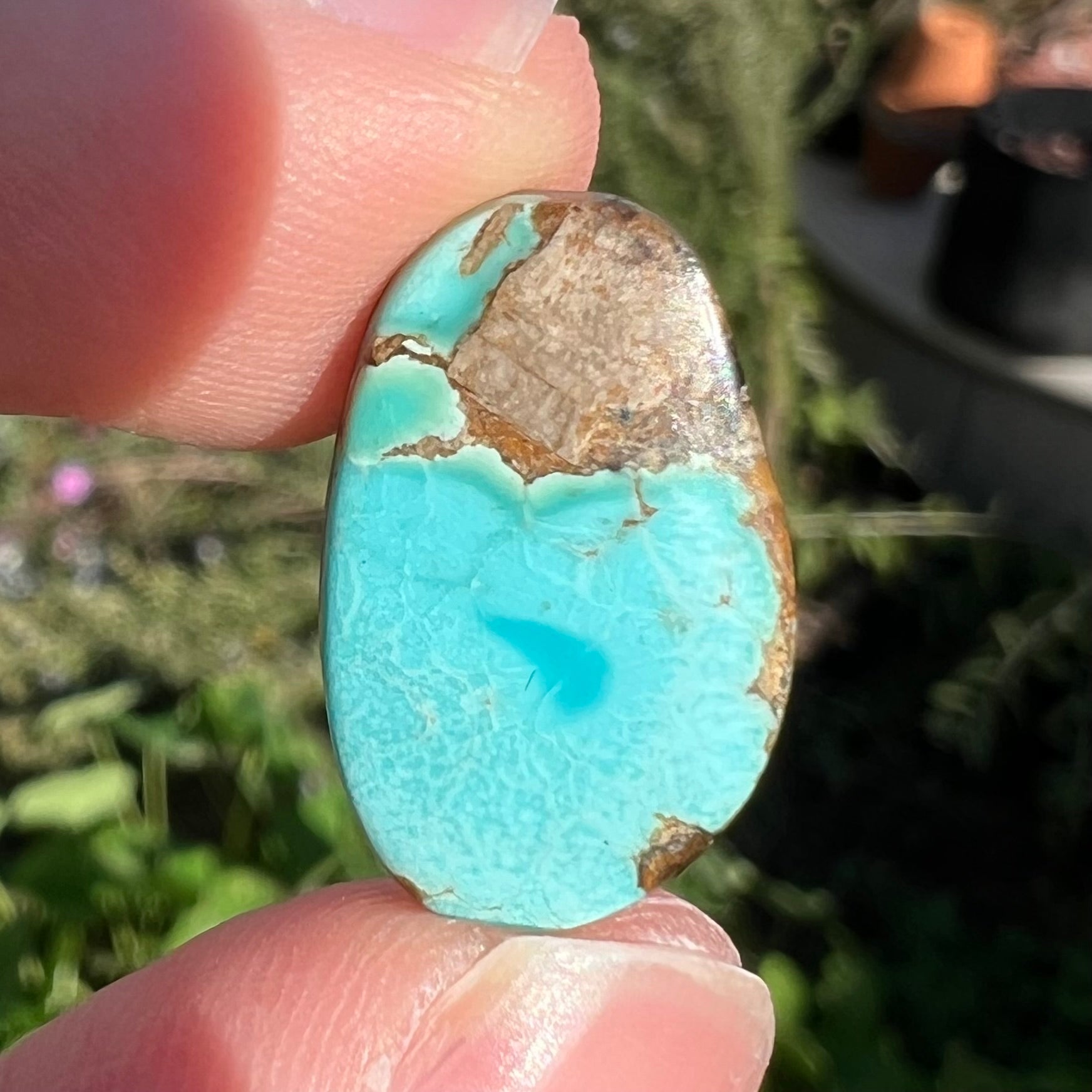 A loose pilot mountain turquoise cabochon.  The stone is blue with brown matrix.