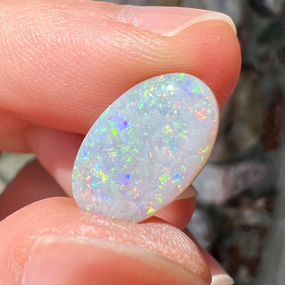 A semi-black, small flashfire opal stone from Mintabie, Australia.