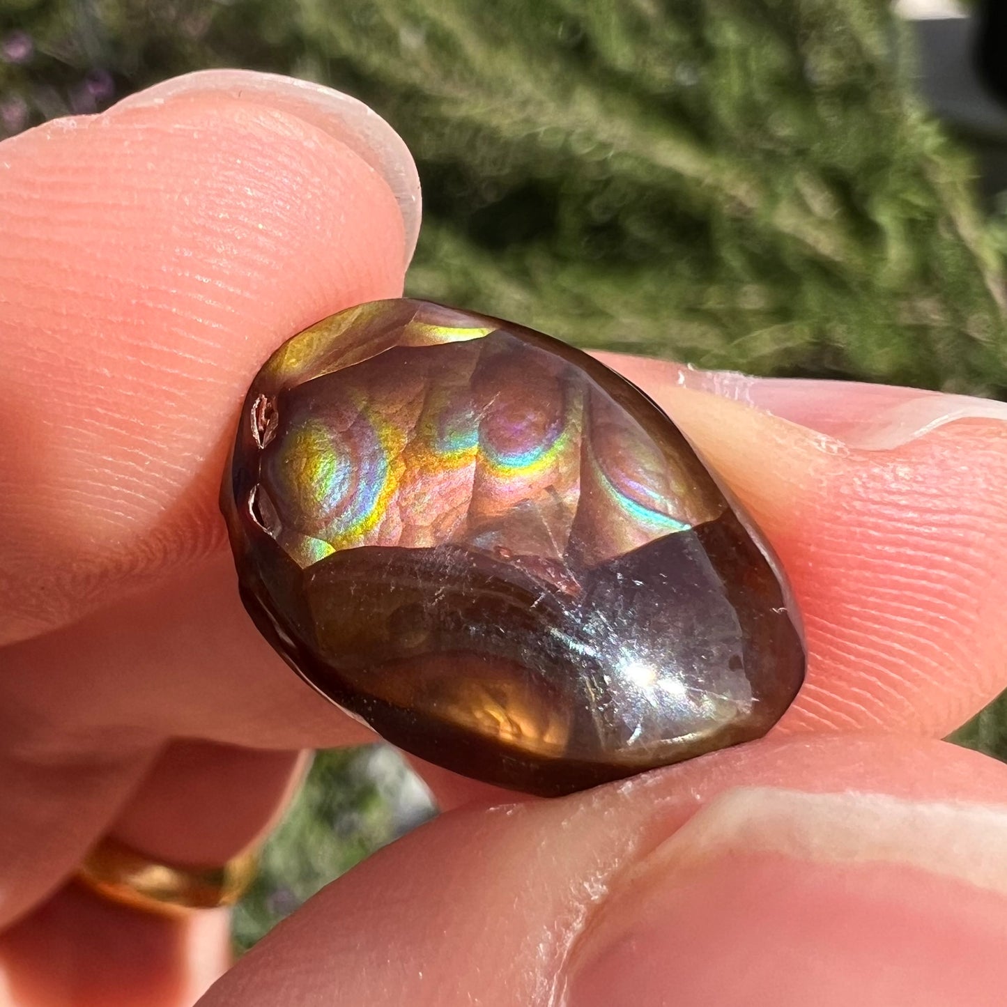 A loose, oval cabochon cut Mexican fire agate stone with pink, orange, and purple banding.