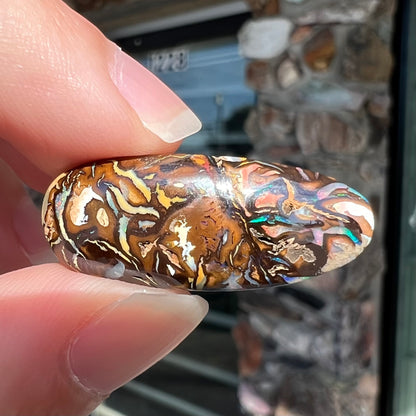 A polished, pear shaped boulder opal stone from Koroit, Australia. 