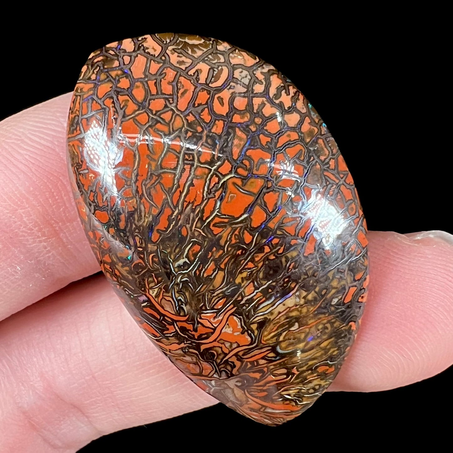 A loose, polished patterned boulder opal stone from Yowah, Australia.