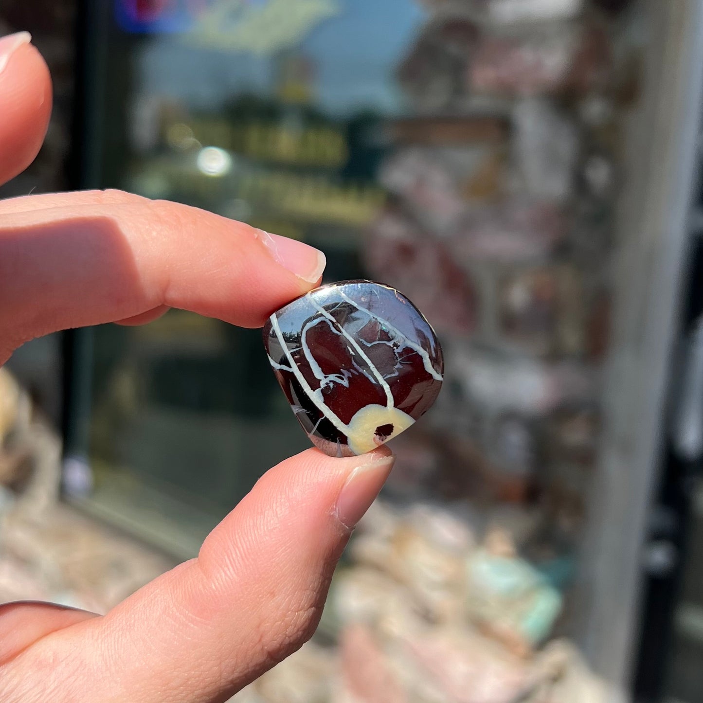 A polsihed, freeform Yowah nut opal specimen.  The stone is ironstone with common opal potch inclusions.