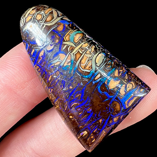 A loose boulder opal stone from Koroit, Australia.  The opal has a blue and purple pattern.