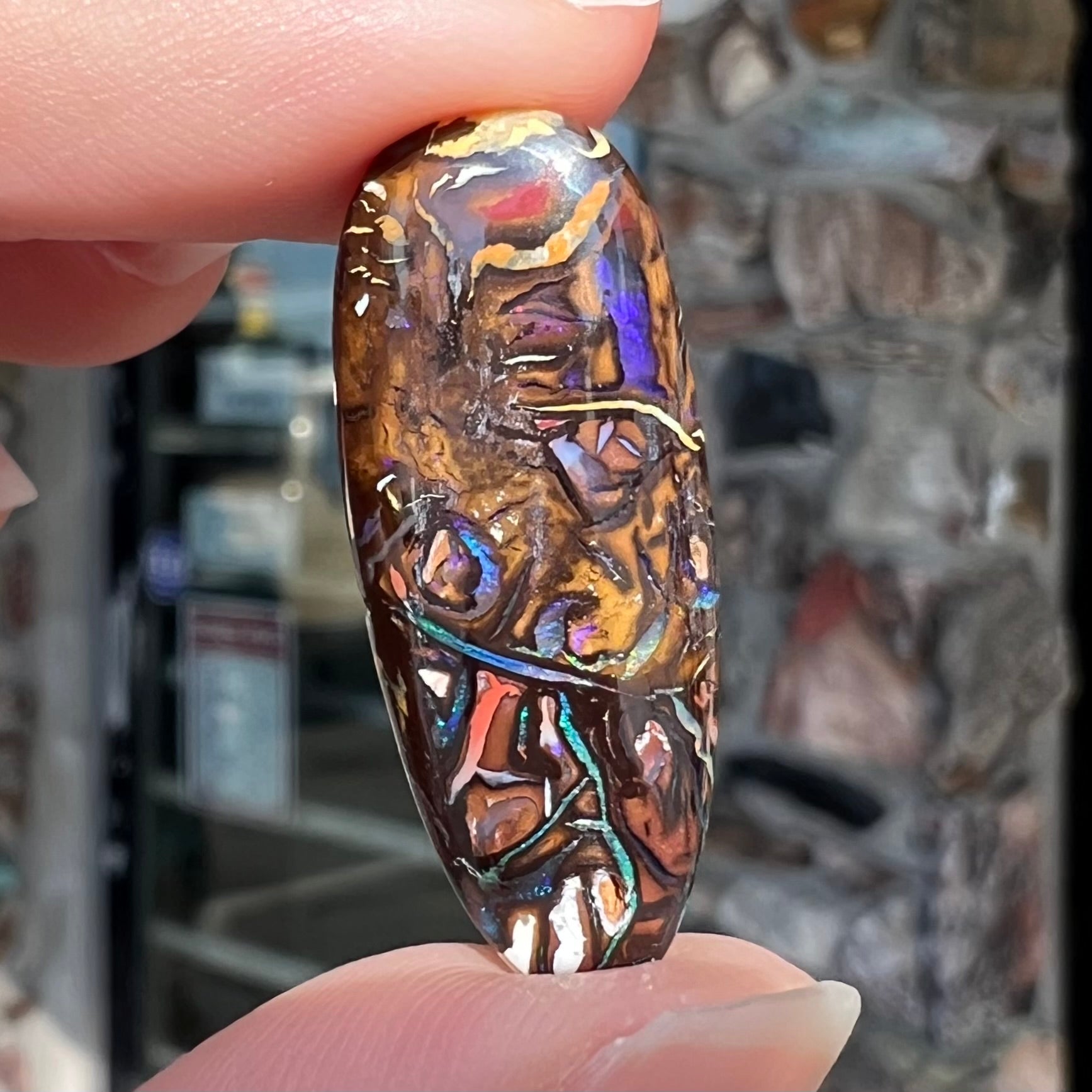 A polished, pear shaped boulder opal stone from Koroit, Australia. 