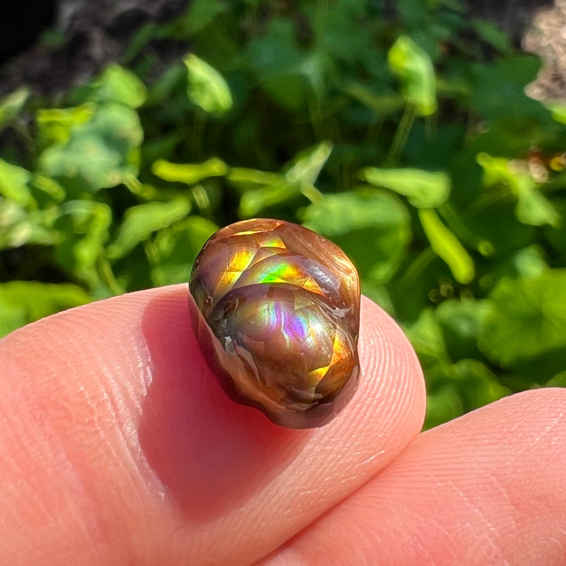 A freeform Mexican fire agate cabochon.  The stone shines with bands of green, red, orange, blue, and purple.